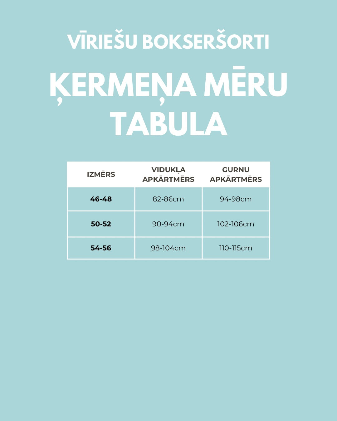 BOKSERŠORTI - ĪPAŠA DĀVANA VĪRIETIM